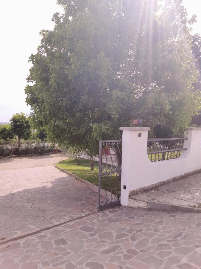 Pace, Luminosita E Comodita A Due Passi Dal Garda Вольта-Мантована Экстерьер фото